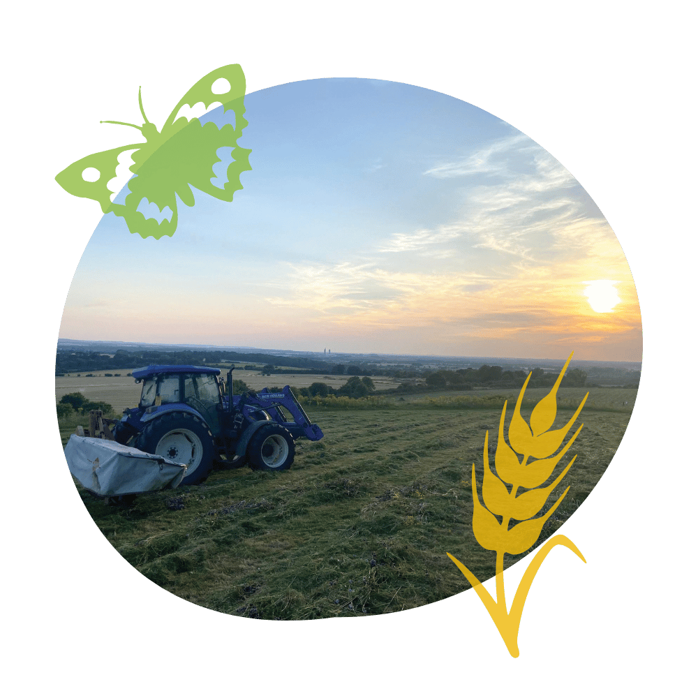 Tractor cutting hay at Wittenham Clumps