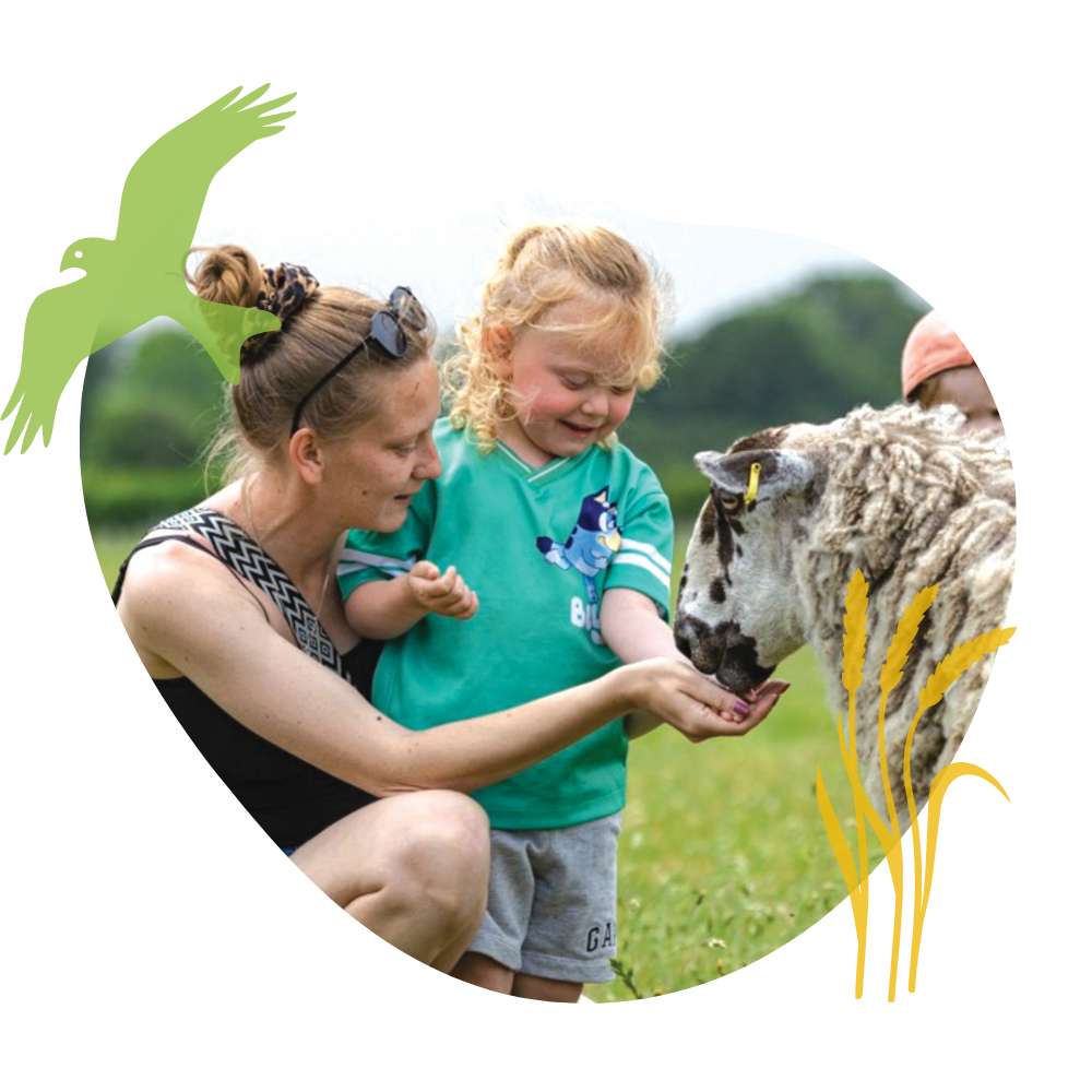 Mother and daughter feeding sheep at Spring on the Farm pebble. Credit: Chris WR Cox Photography