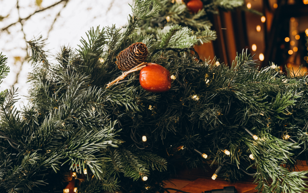 Earth Trust Christmas Market