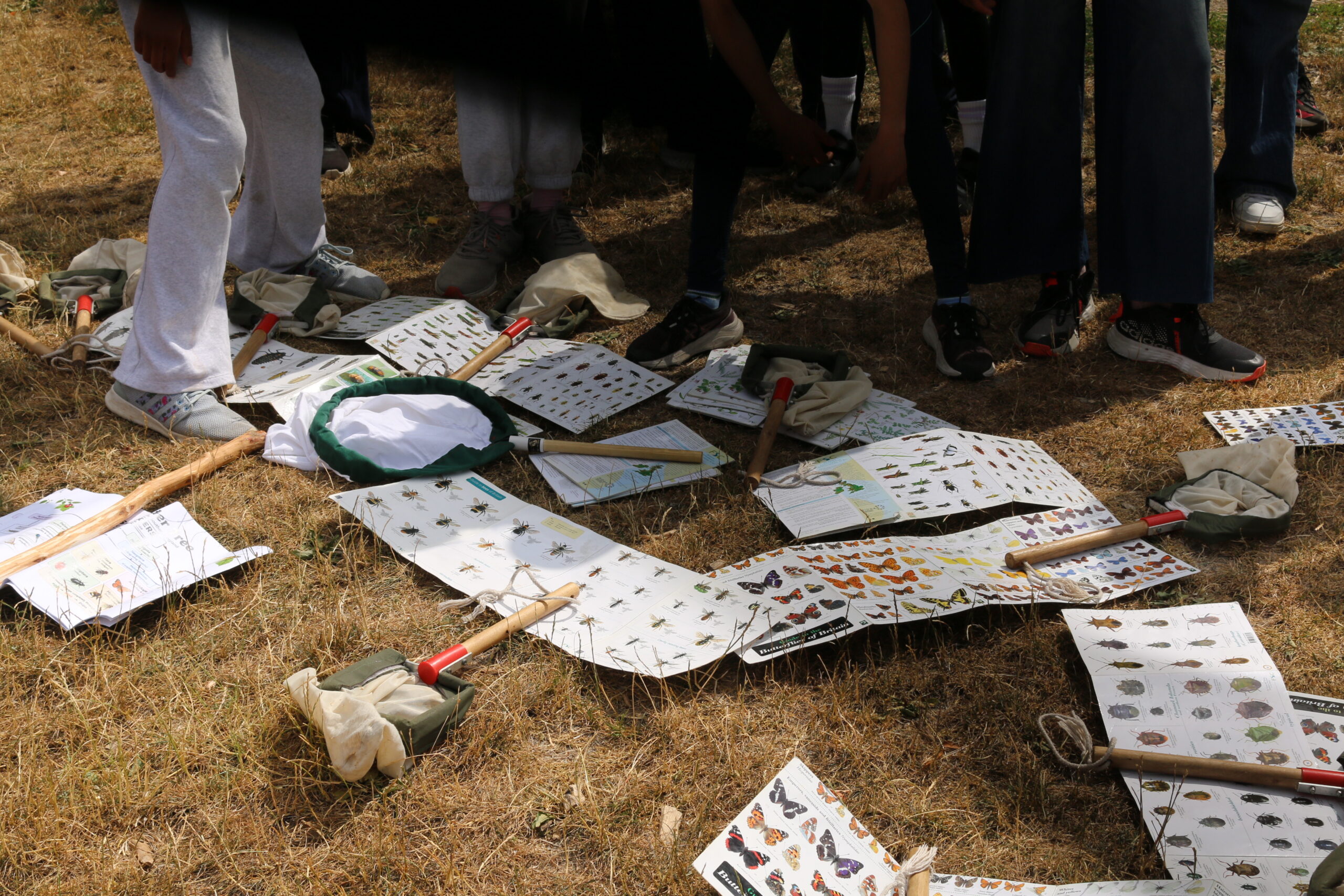 Group of children with meadow sweeping nets and butterfly and insect ID guides