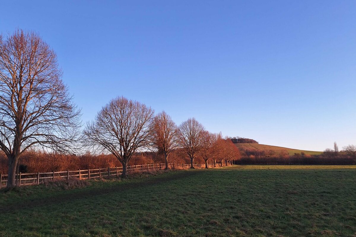 Trees in winter lining Neptune Meadow with Wittenham Clumps in the background