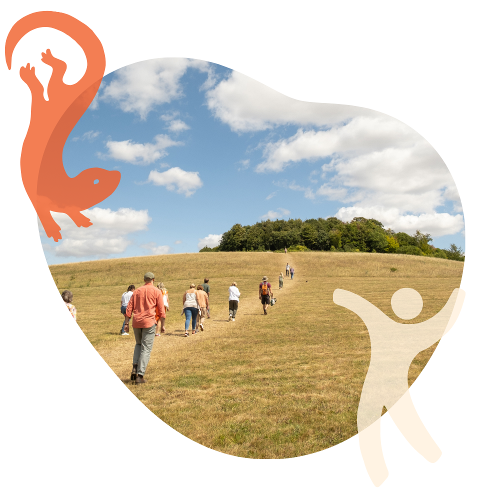 Group of people walking up the Clumps