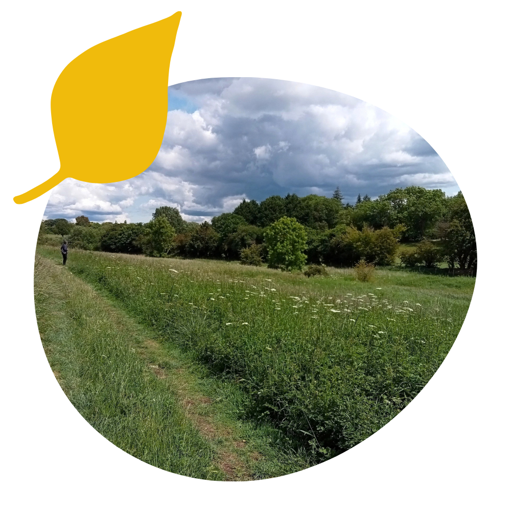 Tuckmill Meadows, Earth Trust