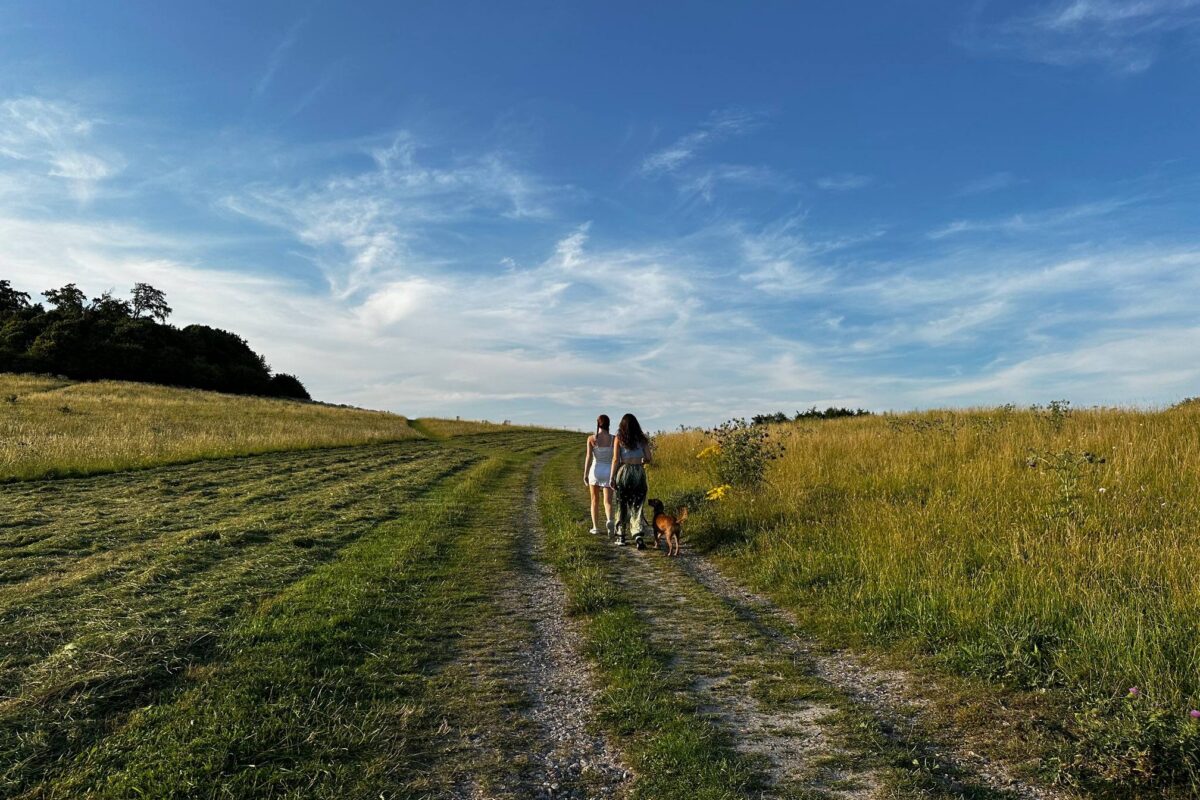 Two people are walking a dog walking up a track towards Wittenham Clumps