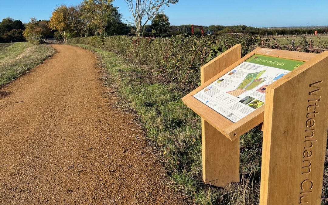 Discover New Ways to Explore Wittenham Clumps: Launching Our New Walking Routes