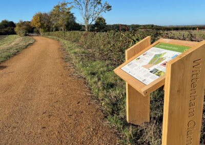 Discover New Ways to Explore Wittenham Clumps: Launching Our New Walking Routes