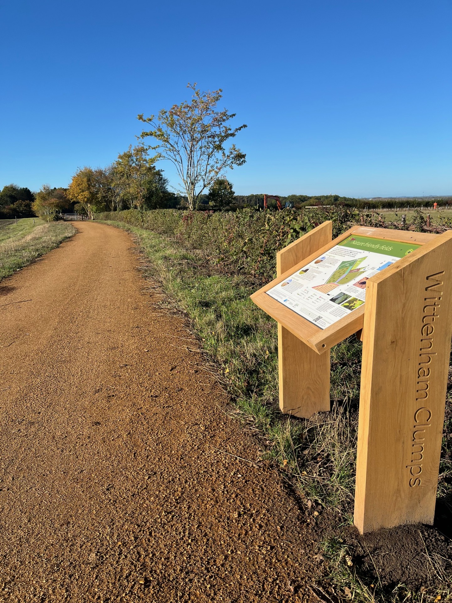 wittenham clumps walking trails