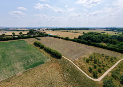 Wildflower Meadow: Hill Farm Orchard