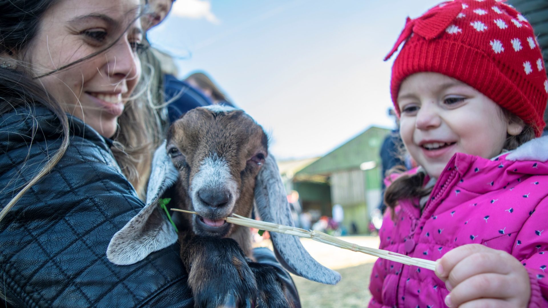 <p>SPRING FESTIVAL<br />
Join us for a farmyard full of family fun<br />
this weekend! 11-12 May</p>
